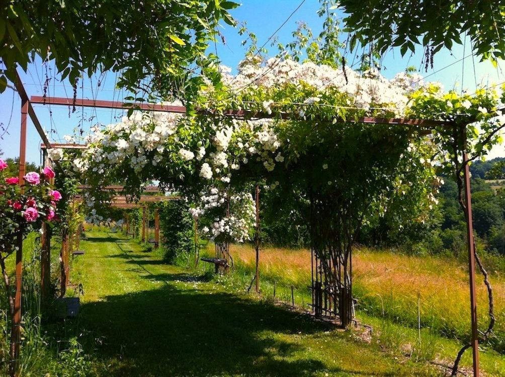 Bed and Breakfast Mas Del Lum Boussac  Экстерьер фото